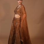 3-Piece Lehenga Set Zardozi Zari Sippi Embroidery (Brown)